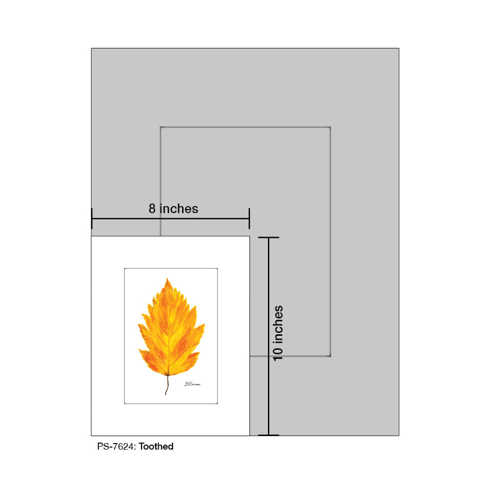 Toothed, Print (#7624A)