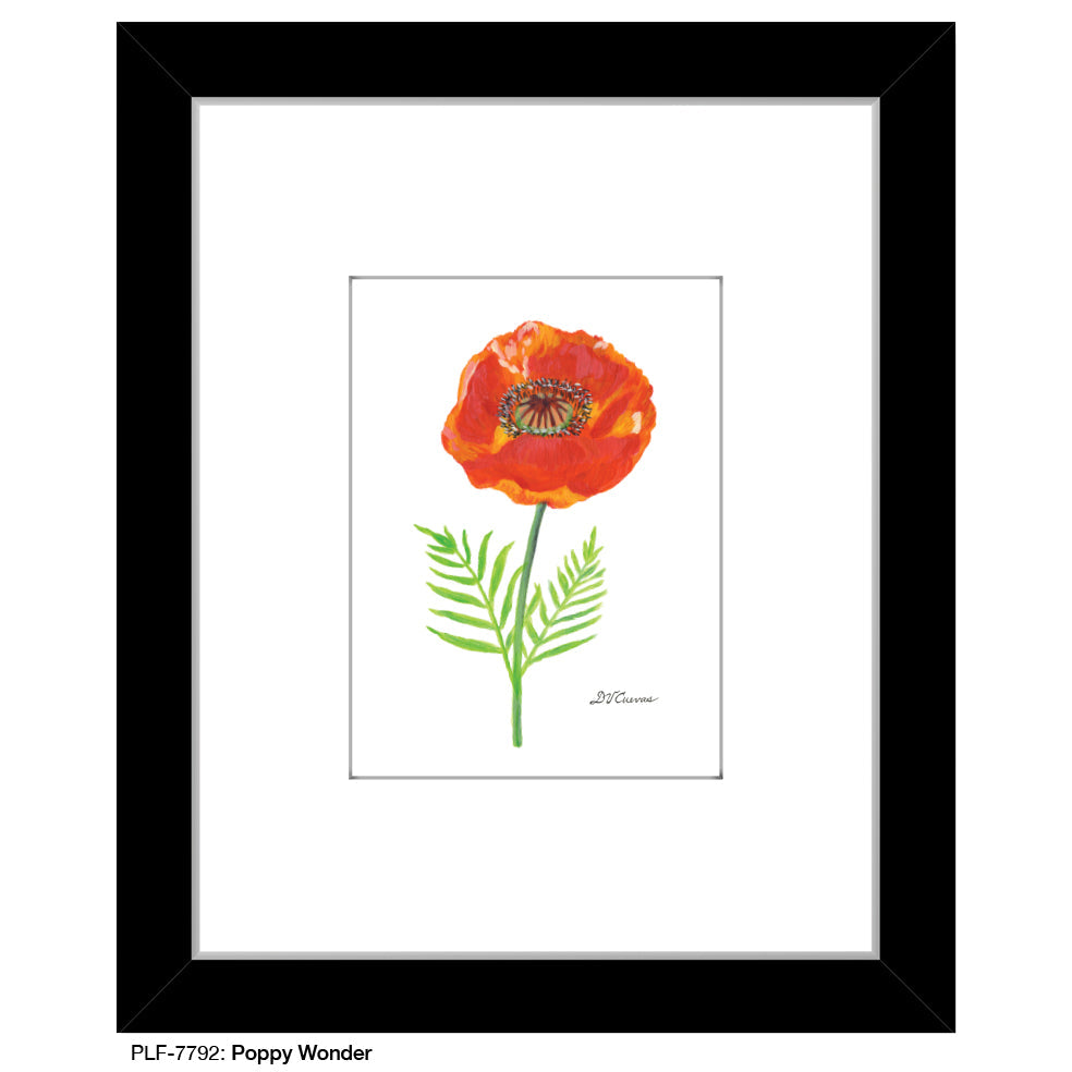 Poppy Wonder, Print (#7792A)