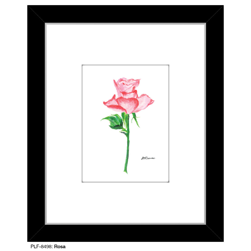 Rosa, Print (#8498B)