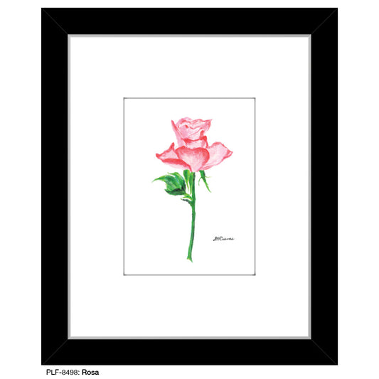 Rosa, Print (#8498B)