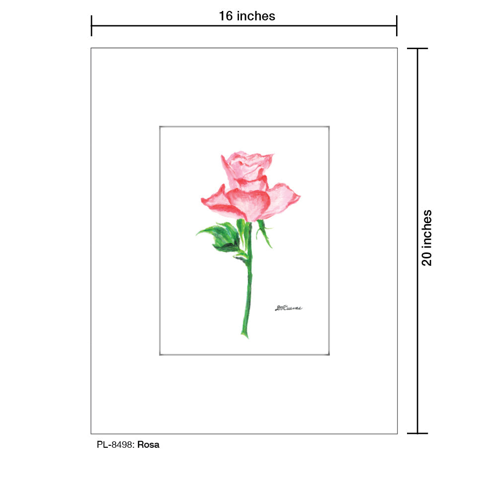 Rosa, Print (#8498B)