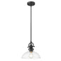 Matte Black Hanging Light with Glass Dome Shade