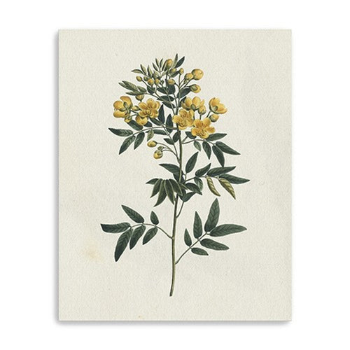 Singular Yellow Blossom Branch Unframed Print Wall Art | Home Decor | Kitchen + Metal
