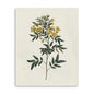 Singular Yellow Blossom Branch Unframed Print Wall Art | Home Decor | Kitchen + Metal
