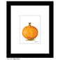 Yellow Onion, Print (#7154A)