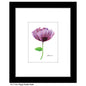 Poppy Tender Violet, Print (#7780A)