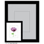 Poppy Tender Violet, Print (#7780A)