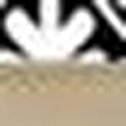 4" X 4" Black and White Floral Peel and Stick Removable Tiles