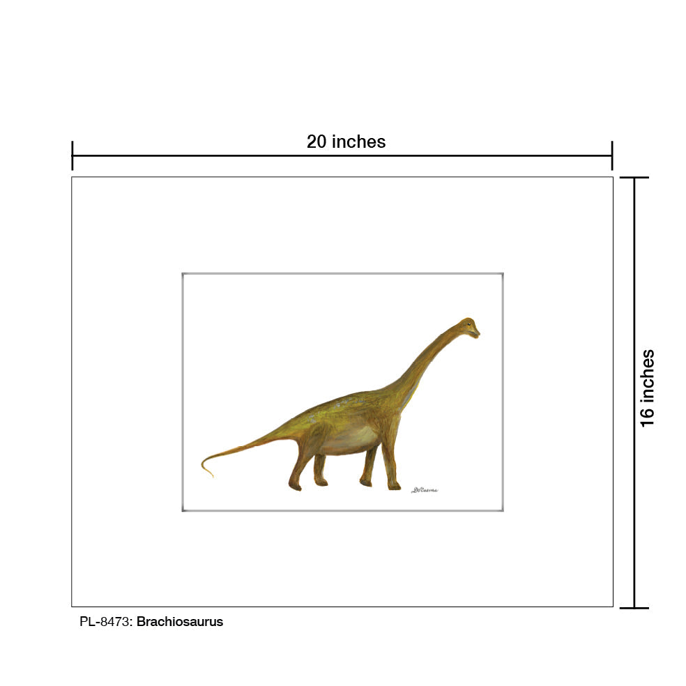 Brachiosaurus, Print (#8473A)