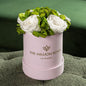 Basic Light Pink Suede Garden Box | White Roses