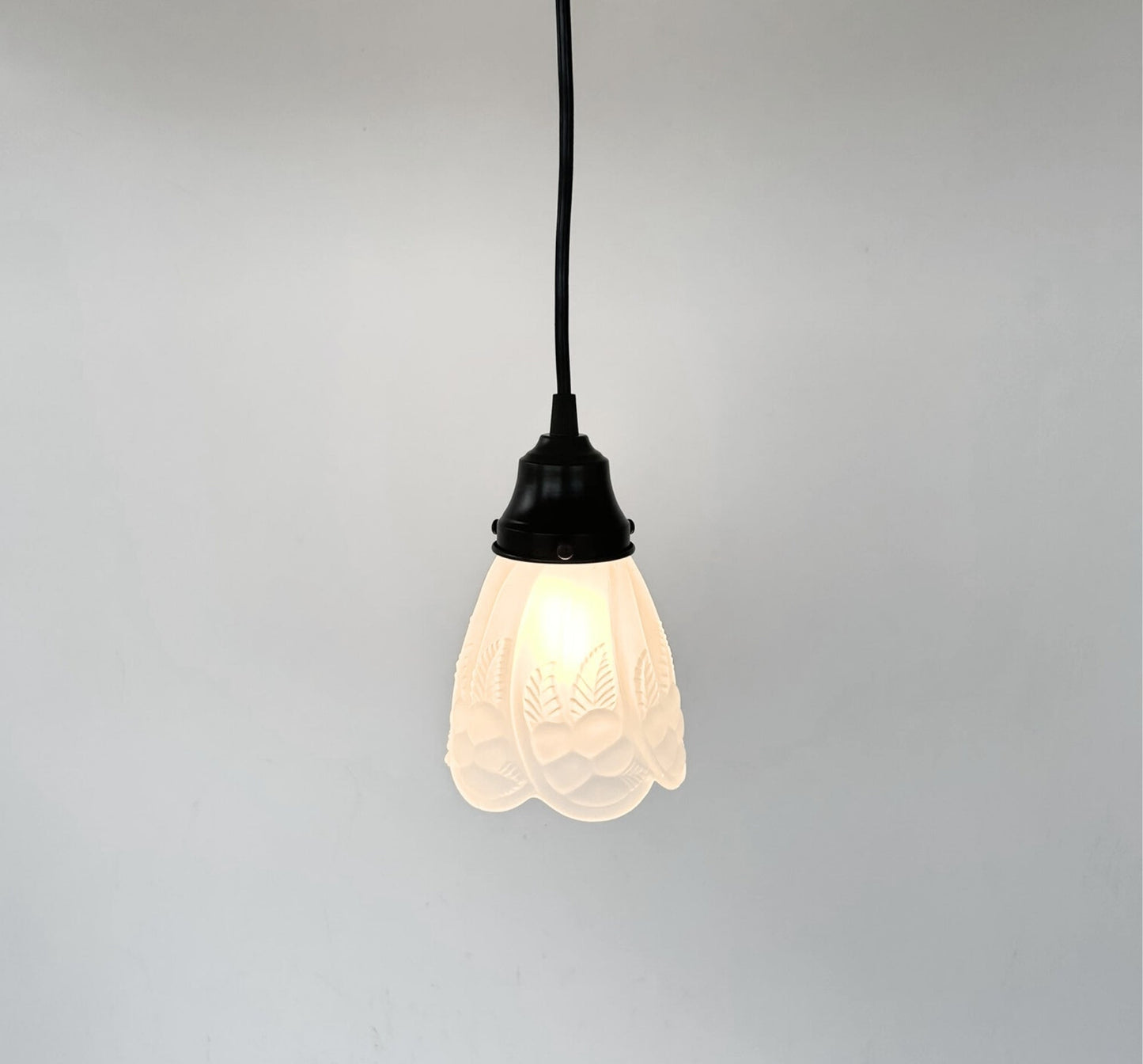 Frosted Embossed Fruit and Leaf Sconce or Pendant