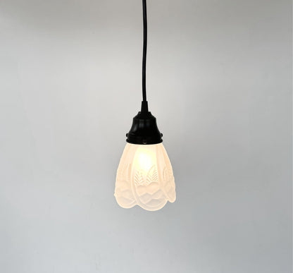 Frosted Embossed Fruit and Leaf Sconce or Pendant