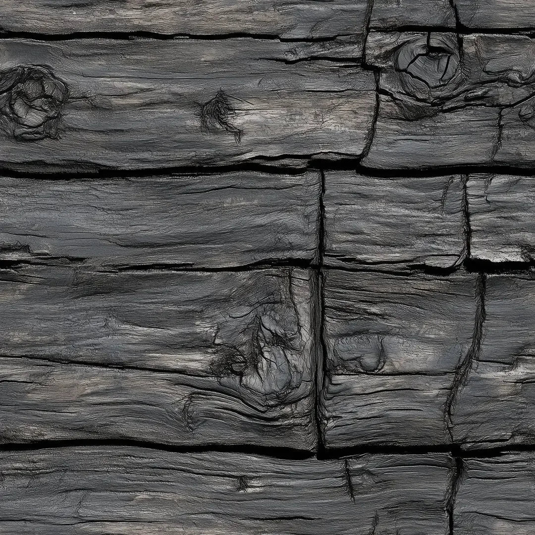 Ancient Charred Timber Wall
