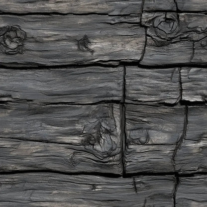 Ancient Charred Timber Wall