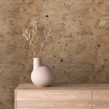 Sienna Earth Plaster Wallcovering