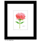Single Peony, Print (#7830A)