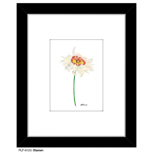 Stamen, Print (#8123C)
