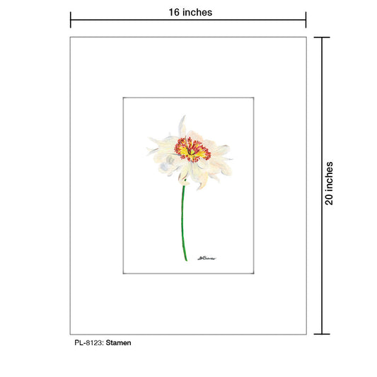 Stamen, Print (#8123C)
