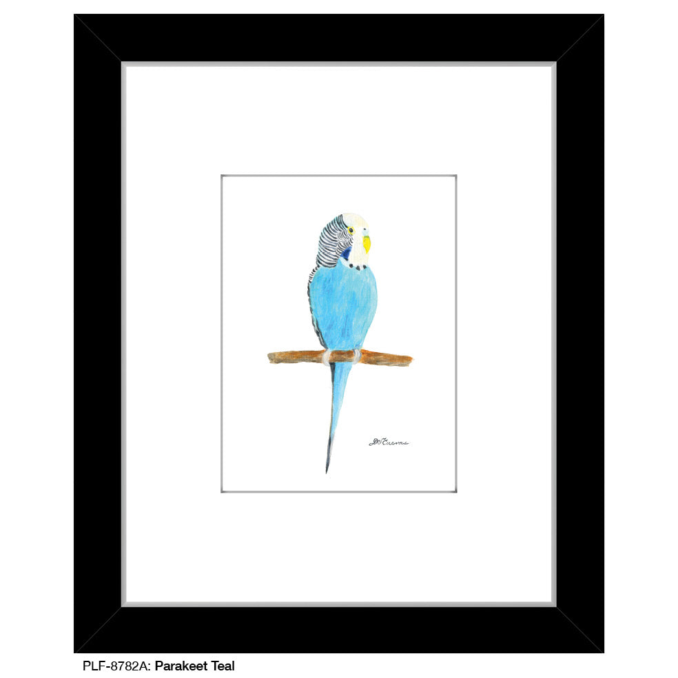 Parakeet Teal, Print (#8782A)