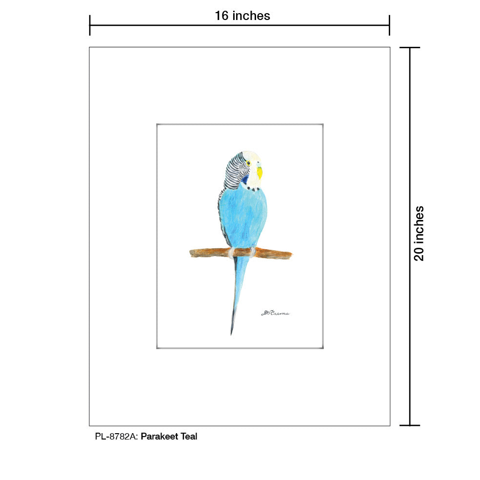 Parakeet Teal, Print (#8782A)