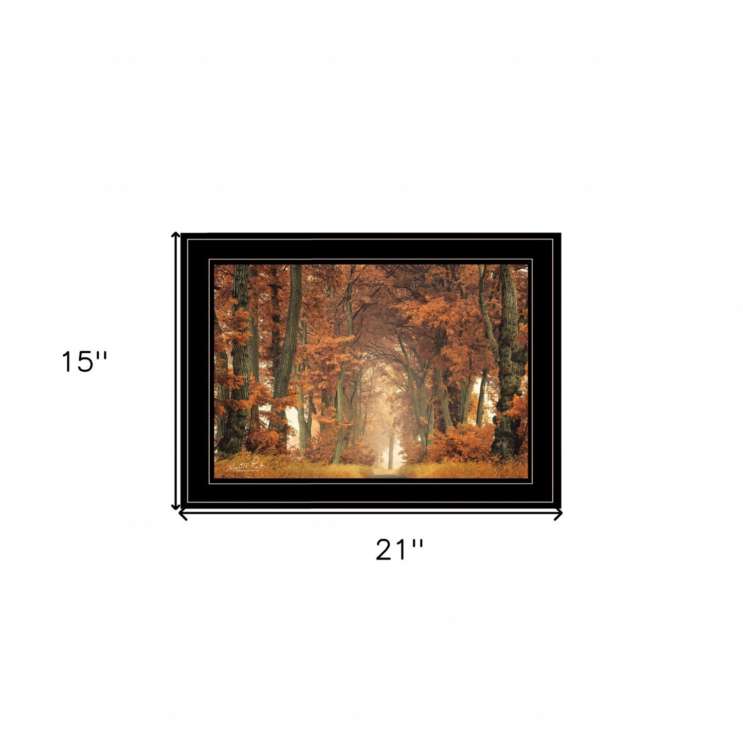 Follow Your Own Way 2 Black Framed Print Wall Art