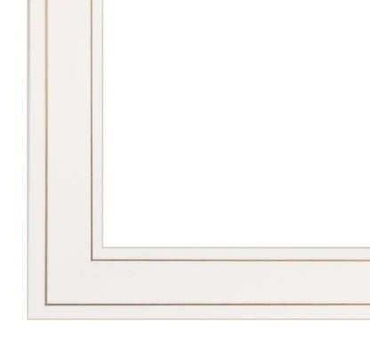 White frame with gold trim on a white background