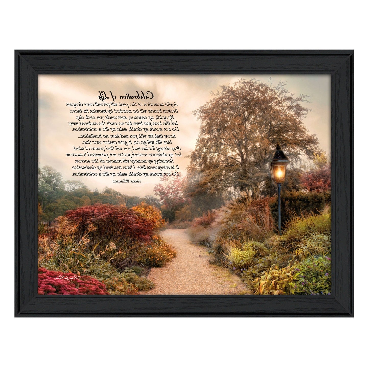 Celebration of Life Black Framed Print Wall Art
