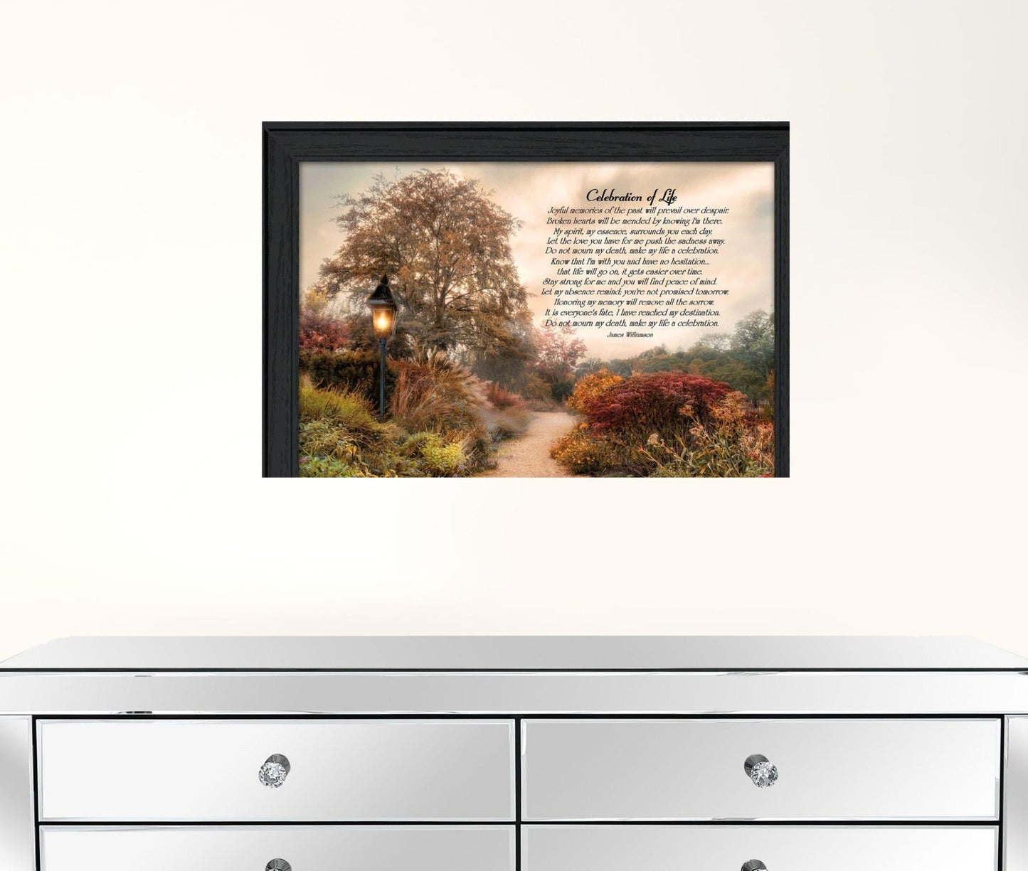 Celebration of Life Black Framed Print Wall Art