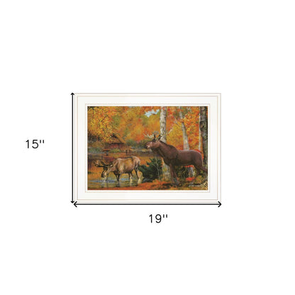 Framed artwork of moose in a forest with autumn colors, shown with dimensions.