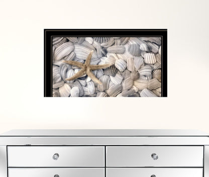 Starfish and Seashells 4 Black Framed Print Wall Art