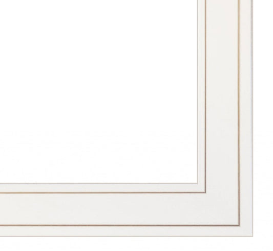 White picture frame with gold trim on a white background