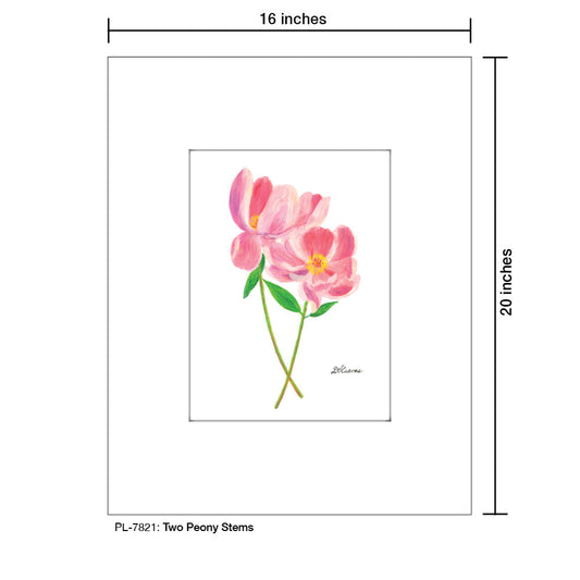 Two Peony Stems, Print (#7821A)