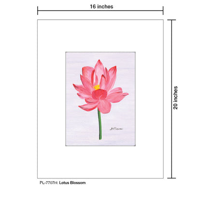 Lotus Blossom, Print (#7707H)