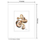 Mushroom Shiitake, Print (#8740C)