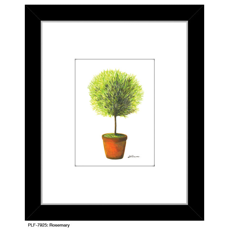 Rosemary, Print (#7925A)