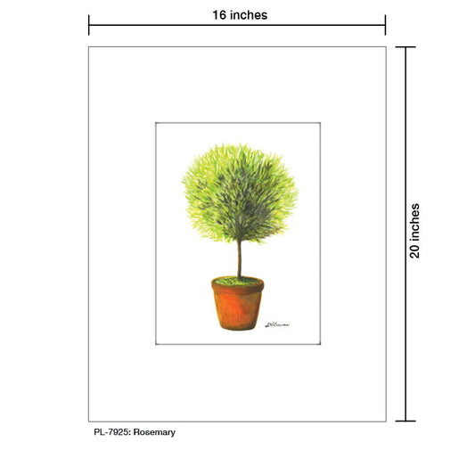 Rosemary, Print (#7925A)