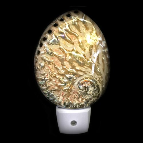 Midas Abalone Shell LED Night Light