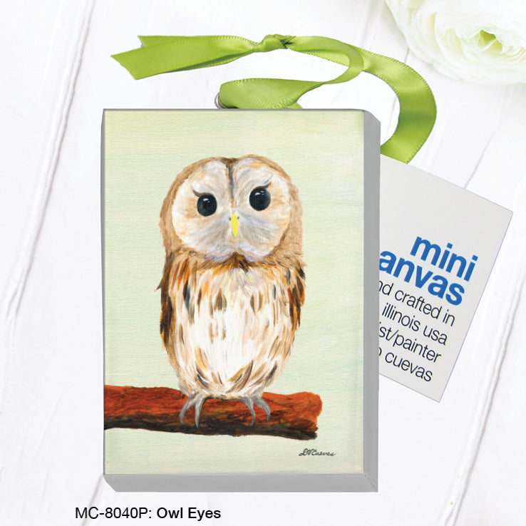 Owl Eyes, Mini Canvas (MC-8040P)