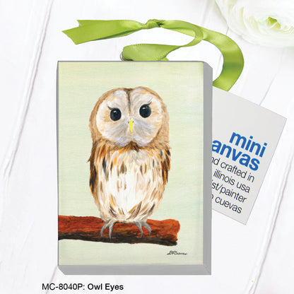 Owl Eyes, Mini Canvas (MC-8040P)