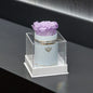 Single White Suede Box | Lavender Rose