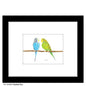 Parakeet Duo, Print (#8780B)