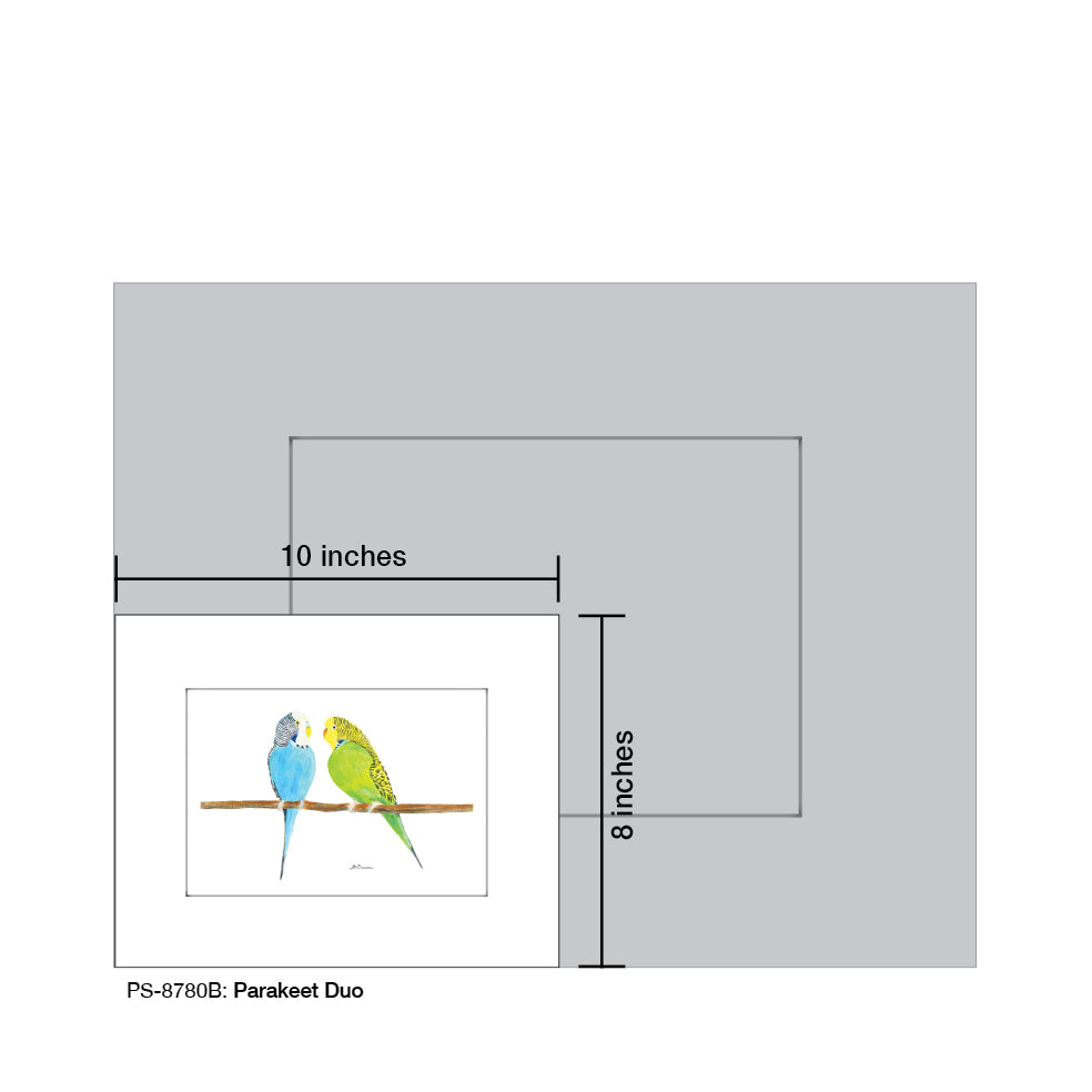 Parakeet Duo, Print (#8780B)