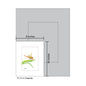 Dragonfly, Print (#7616A)