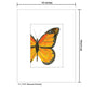 Monarch Butterfly, Print (#7752F)