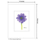Anemone Light Purple, Print (#7264J)