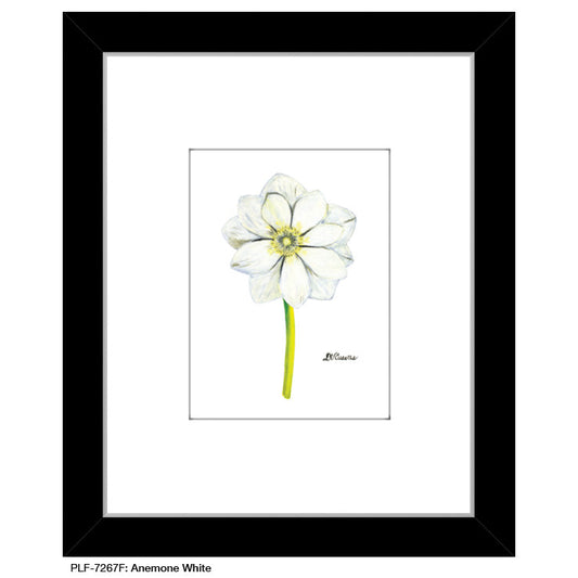 Anemone White, Print (#7267F)