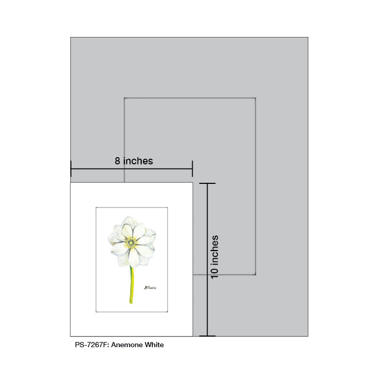 Anemone White, Print (#7267F)