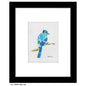 Blue Jay, Print (#7694E)