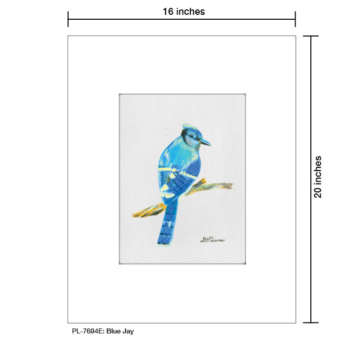 Blue Jay, Print (#7694E)