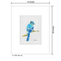 Blue Jay, Print (#7694E)